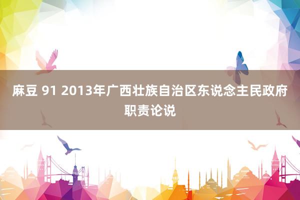 麻豆 91 2013年广西壮族自治区东说念主民政府职责论说