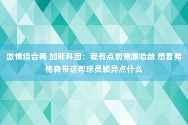 激情综合网 加斯科因：我有点悯恻滕哈赫 想看弗格森带这帮球员颖异点什么