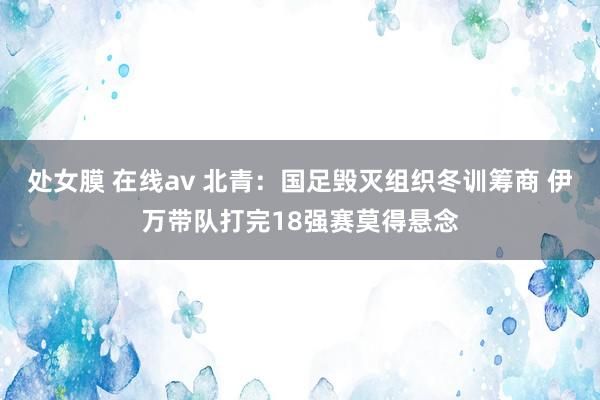 处女膜 在线av 北青：国足毁灭组织冬训筹商 伊万带队打完18强赛莫得悬念